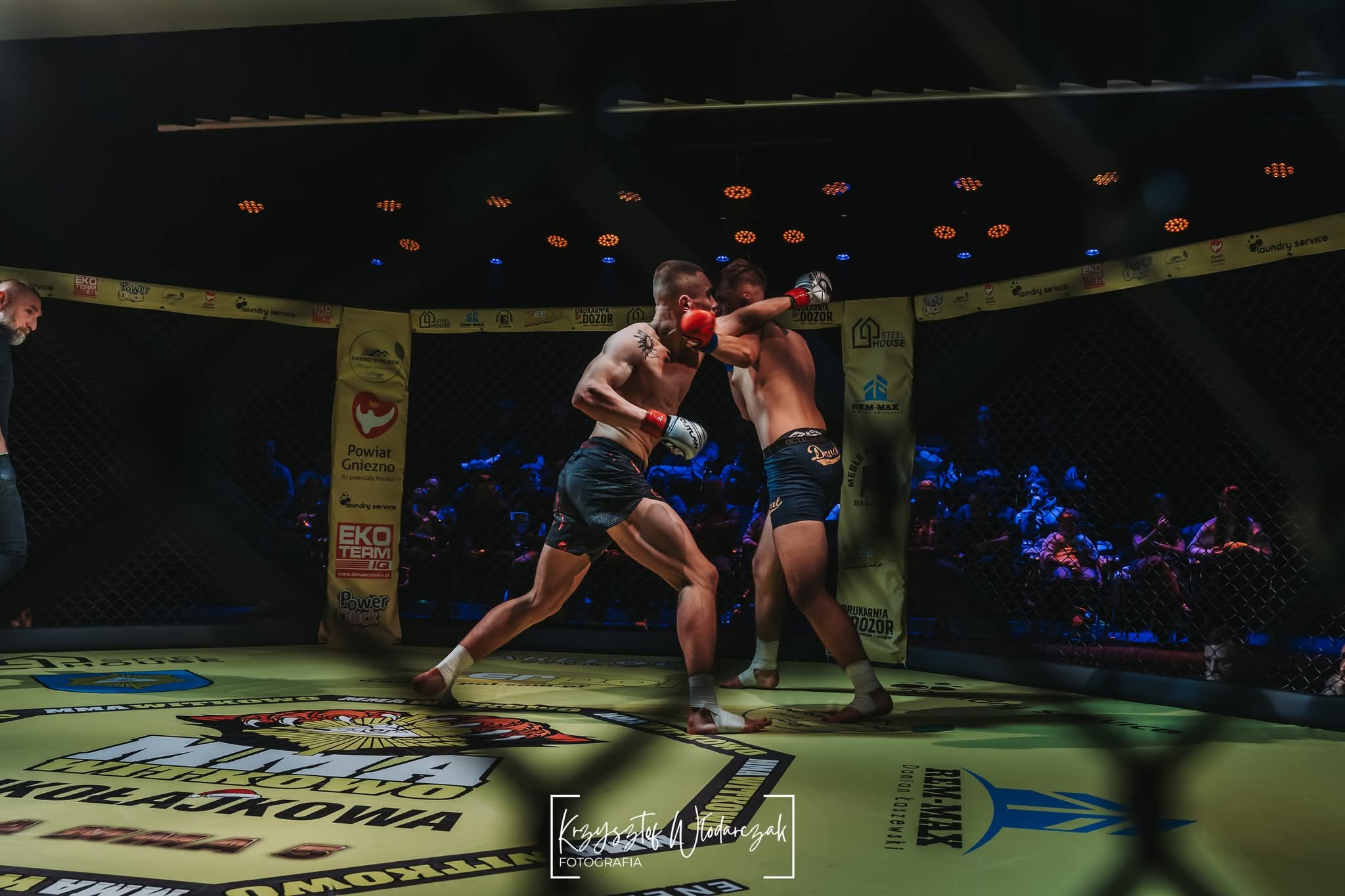 Antoni Napierała MMA Walka